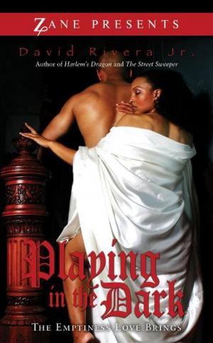 Cover of Playing in the Dark
