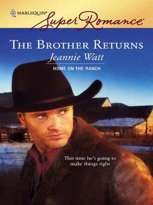Cover of the book The Brother Returns by Ruth Logan Herne