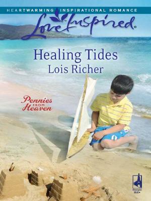 Cover of the book Healing Tides by Gail Sattler