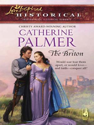 Cover of the book The Briton by Kathryn Springer