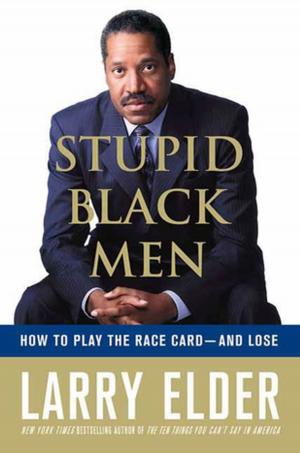 Cover of the book Stupid Black Men by Bruce Porter
