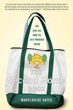 Cover of the book The Second Home Book by Piero degli Antoni