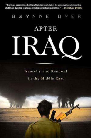 Book cover of After Iraq