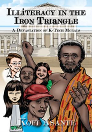 Cover of the book Illiteracy in the Iron Triangle by N. Catherine Herlin MA EdS.