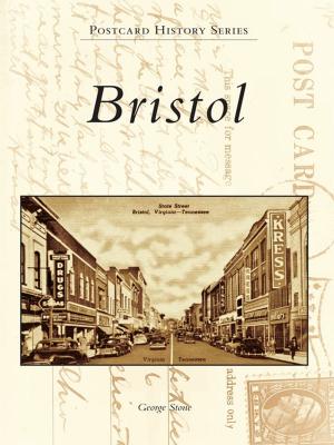 Cover of the book Bristol by Jeffrey Meyer, John Hendrickson