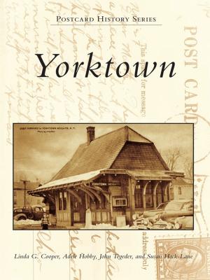 Book cover of Yorktown