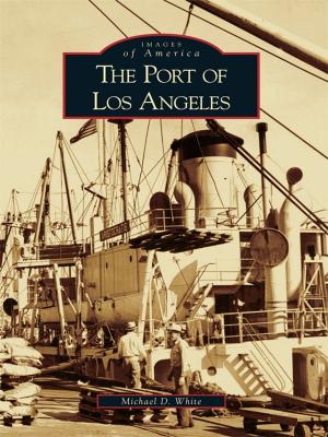 Cover of the book The Port of Los Angeles by Joshua McMorrow-Hernandez