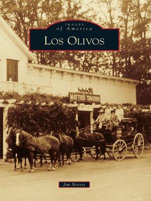 Cover of the book Los Olivos by Jeffrey Adams