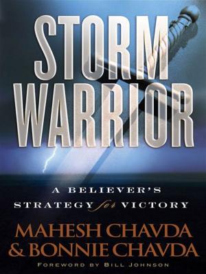 Book cover of Storm Warrior