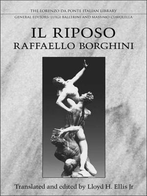 Cover of the book Raffaello Borghini's Il Riposo by John Hodgetts