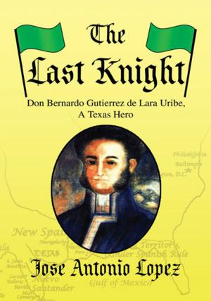 Book cover of The Last Knight