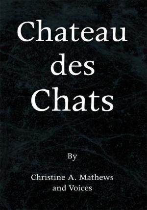 Cover of the book Chateau Des Chats by Barry Bennett Blander