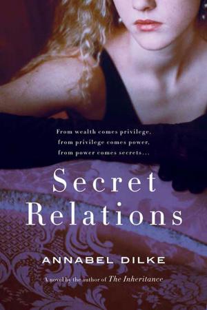 Cover of the book Secret Relations by Jonathan Grotenstein, Storms Reback