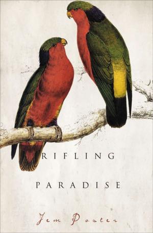Cover of the book Rifling Paradise by David Carkeet