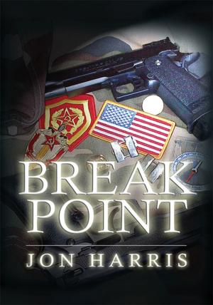 Cover of the book Breakpoint by Jack Henry Markowitz