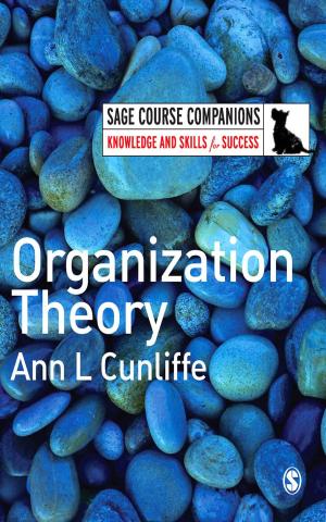 bigCover of the book Organization Theory by 