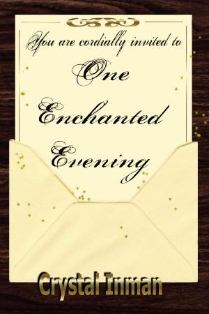 Cover of the book One Enchanted Evening by Nancy-Gail Burns