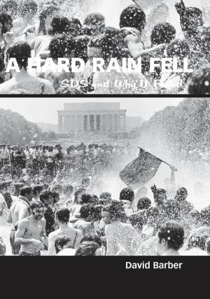 Cover of the book A Hard Rain Fell by Gerhard Kubik