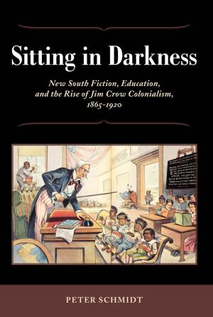 bigCover of the book Sitting in Darkness by 