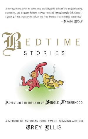Cover of the book Bedtime Stories by Scott Johnson