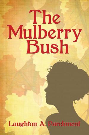 Cover of the book The Mulberry Bush by Jane Skidmore Bennett