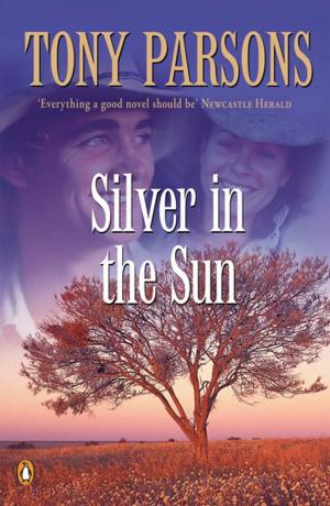 Cover of the book Silver in the Sun by Anna Fienberg