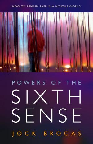 Cover of the book Powers of the Sixth Sense by Darragh McManus