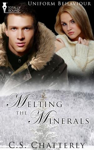 Cover of the book Melting the Minerals by Jacqueline Francis