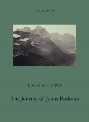 Cover of the book The Journal of Julius Rodman by Marten Sanden