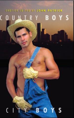 Cover of the book Country Boys City Boys by Mickey Erlach