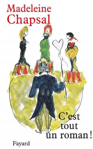 Cover of the book C'est tout un roman by Pierre Birnbaum