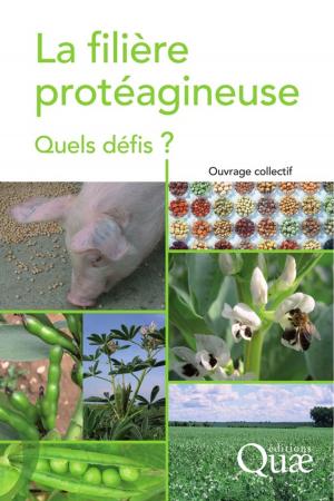 Cover of the book La filière protéagineuse by Jean-François Moal