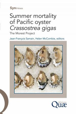 Cover of the book Summer Mortality of Pacific Oyster Crassostrea Gigas by André Teyssier