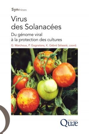 Cover of the book Virus des Solanacées by Vincent Guérin