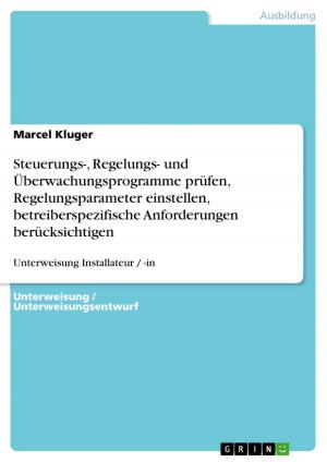 Cover of the book Steuerungs-, Regelungs- und Überwachungsprogramme prüfen, Regelungsparameter einstellen, betreiberspezifische Anforderungen berücksichtigen by Michael André Ankermüller