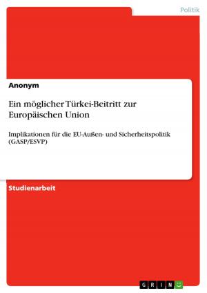 Cover of the book Ein möglicher Türkei-Beitritt zur Europäischen Union by Judith Heide