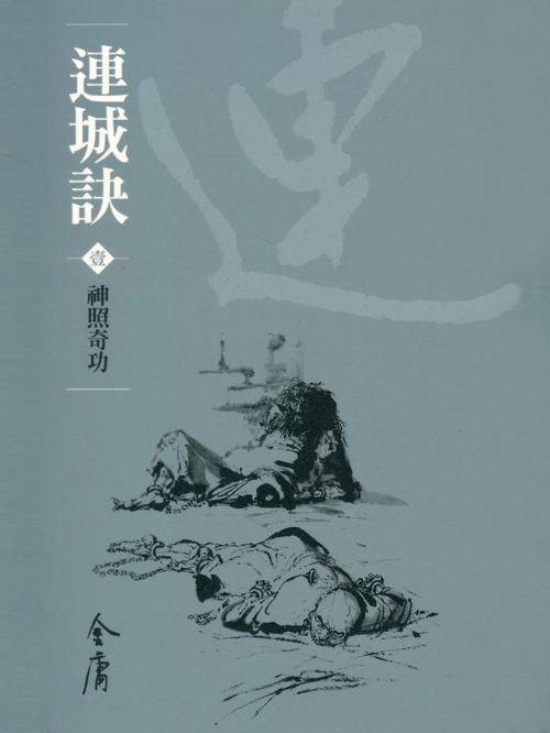 Cover of the book 神照奇功 by 金庸, 遠流出版