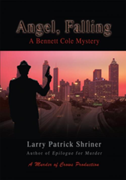 Cover of the book Angel, Falling by Larry Patrick Shriner, iUniverse