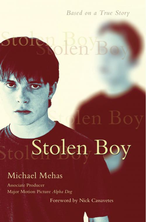 Cover of the book Stolen Boy by Michael Mehas, iUniverse