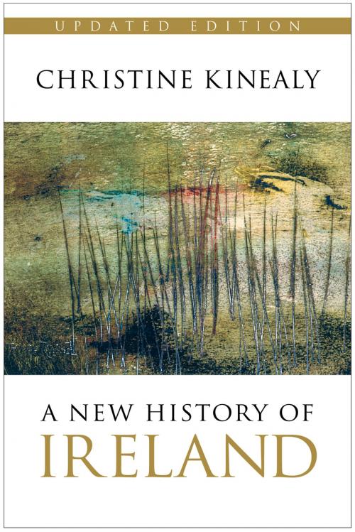 Cover of the book New History of Ireland by Christine Kinealy, The History Press