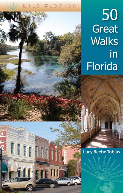 Cover of the book 50 Great Walks in Florida by Lucy Beebe Tobias, University Press of Florida