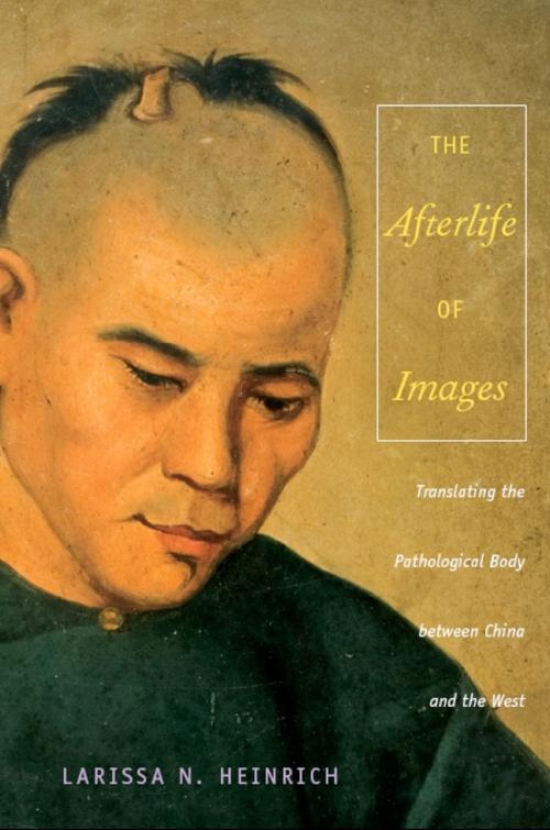 Cover of the book The Afterlife of Images by Ari Larissa Heinrich, Arjun Appadurai, Judith Farquhar, Duke University Press