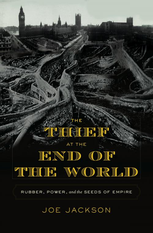 Cover of the book The Thief at the End of the World by Joe Jackson, Penguin Publishing Group