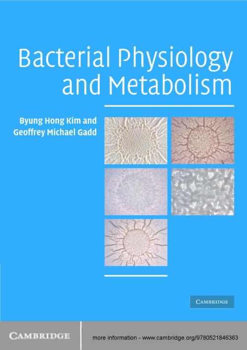 Cover of the book Bacterial Physiology and Metabolism by Byung Hong Kim, Geoffrey Michael Gadd, Cambridge University Press