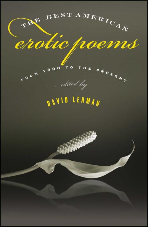 Cover of the book The Best American Erotic Poems by , Scribner