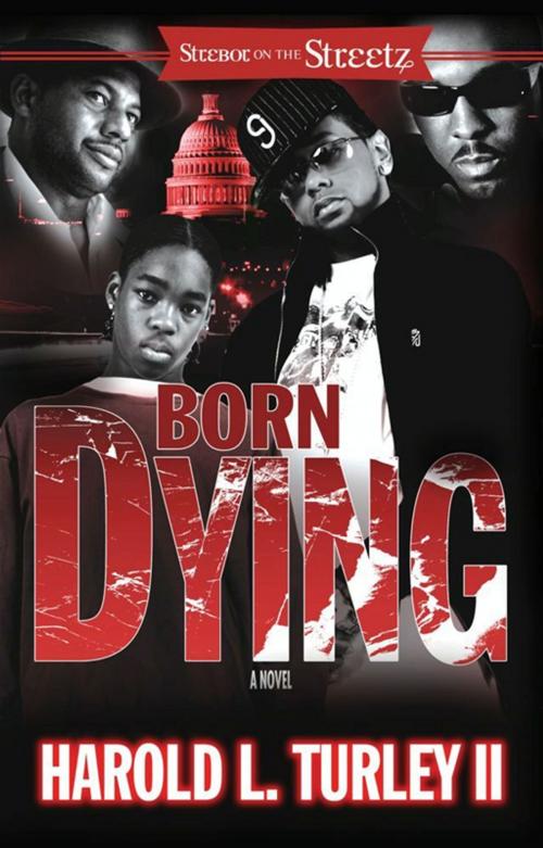 Cover of the book Born Dying by Harold L. Turley II, Strebor Books