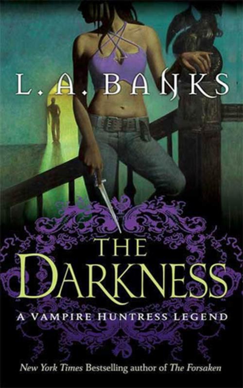 Cover of the book The Darkness by L. A. Banks, St. Martin's Press
