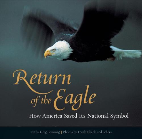 Cover of the book Return of the Eagle by Greg Breining, Lyons Press