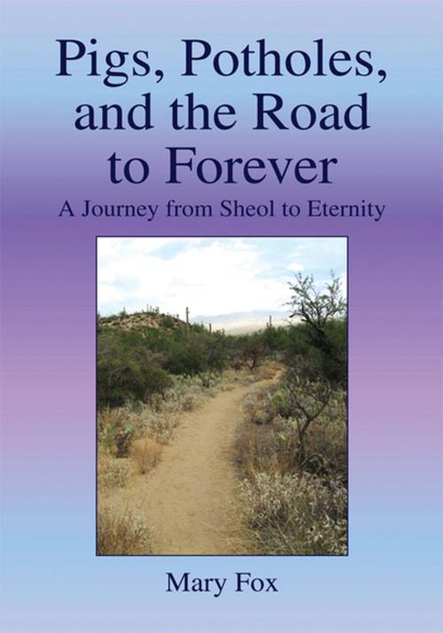 Cover of the book Pigs, Potholes, and the Road to Forever by Mary Fox, Xlibris US
