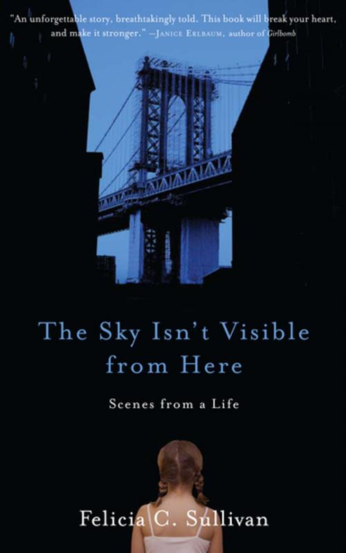 Cover of the book The Sky Isn't Visible from Here by Felicia C. Sullivan, Workman Publishing
